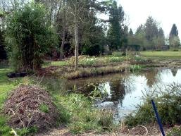 natural pond